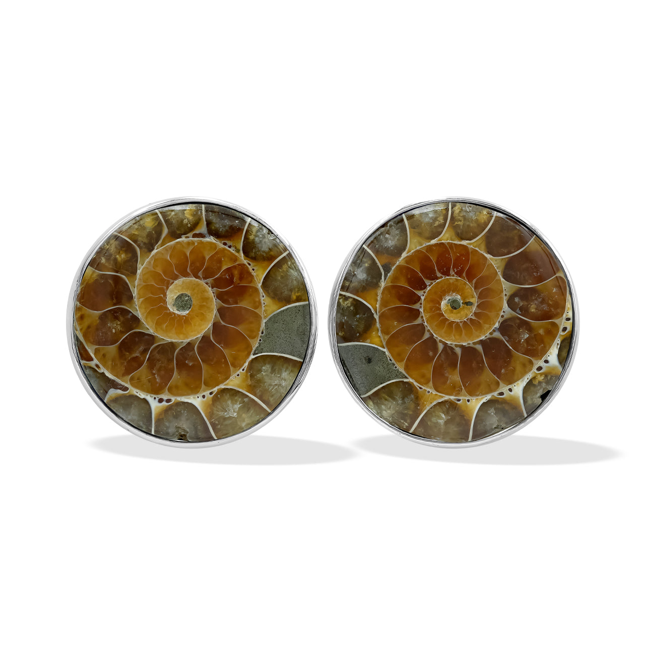 Starborn Fossilized Ammonite Round Post Earrings in Sterling Silver