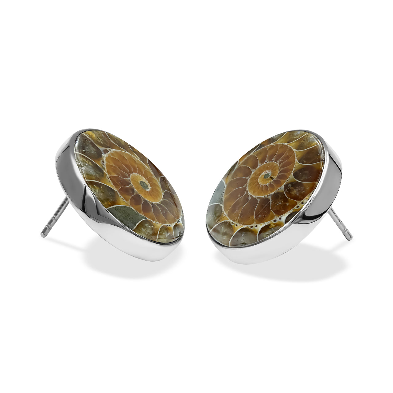Starborn Fossilized Ammonite Round Post Earrings in Sterling Silver
