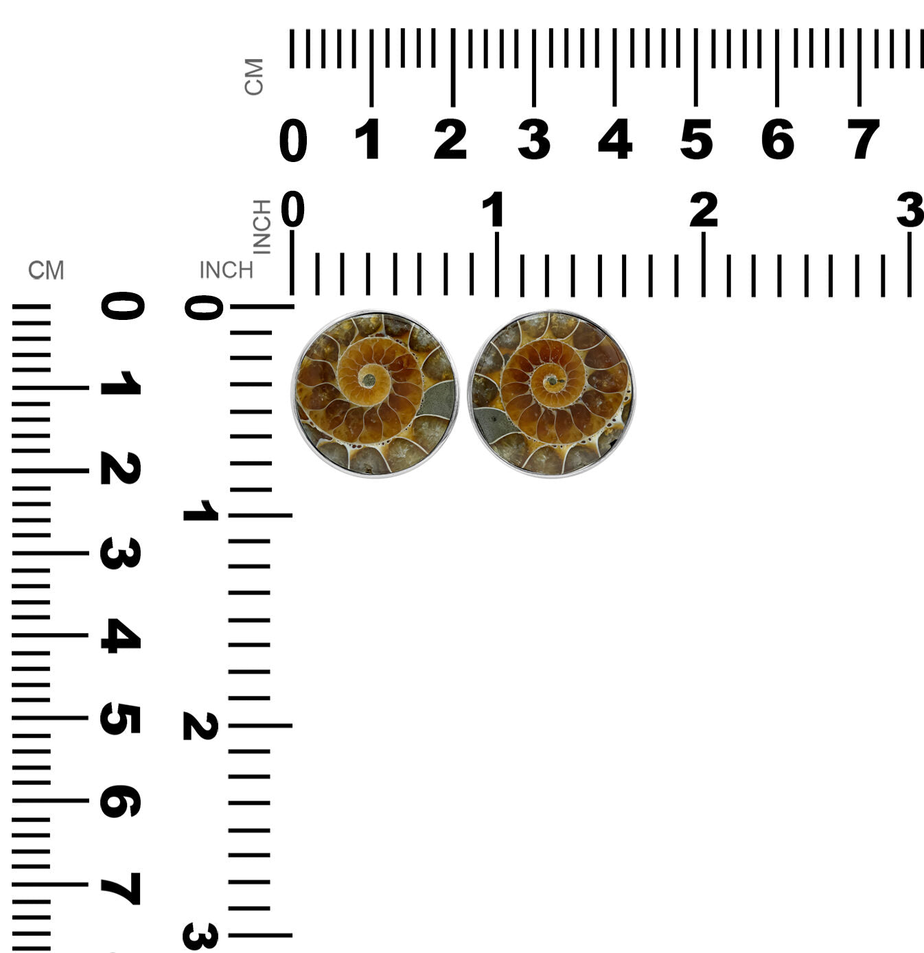 Starborn Fossilized Ammonite Round Post Earrings in Sterling Silver