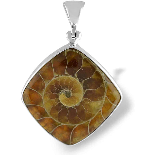 Starborn Fossilized Ammonite Square Pendant in Sterling Silver