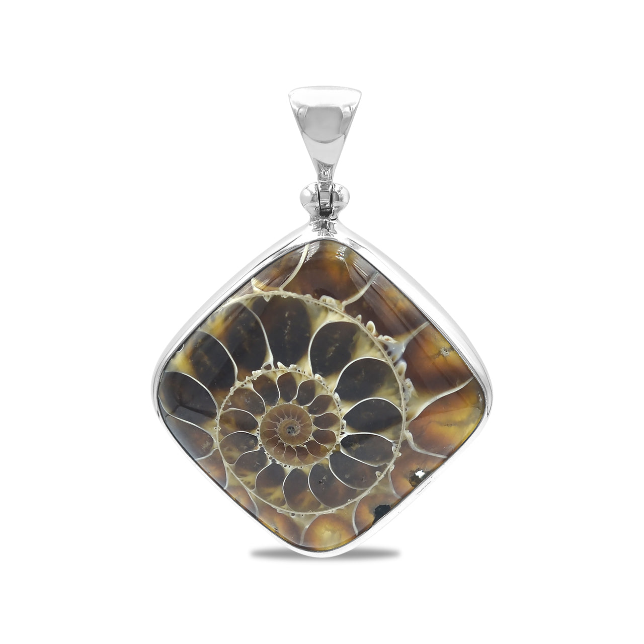 Starborn Fossilized Ammonite Square Pendant in Sterling Silver