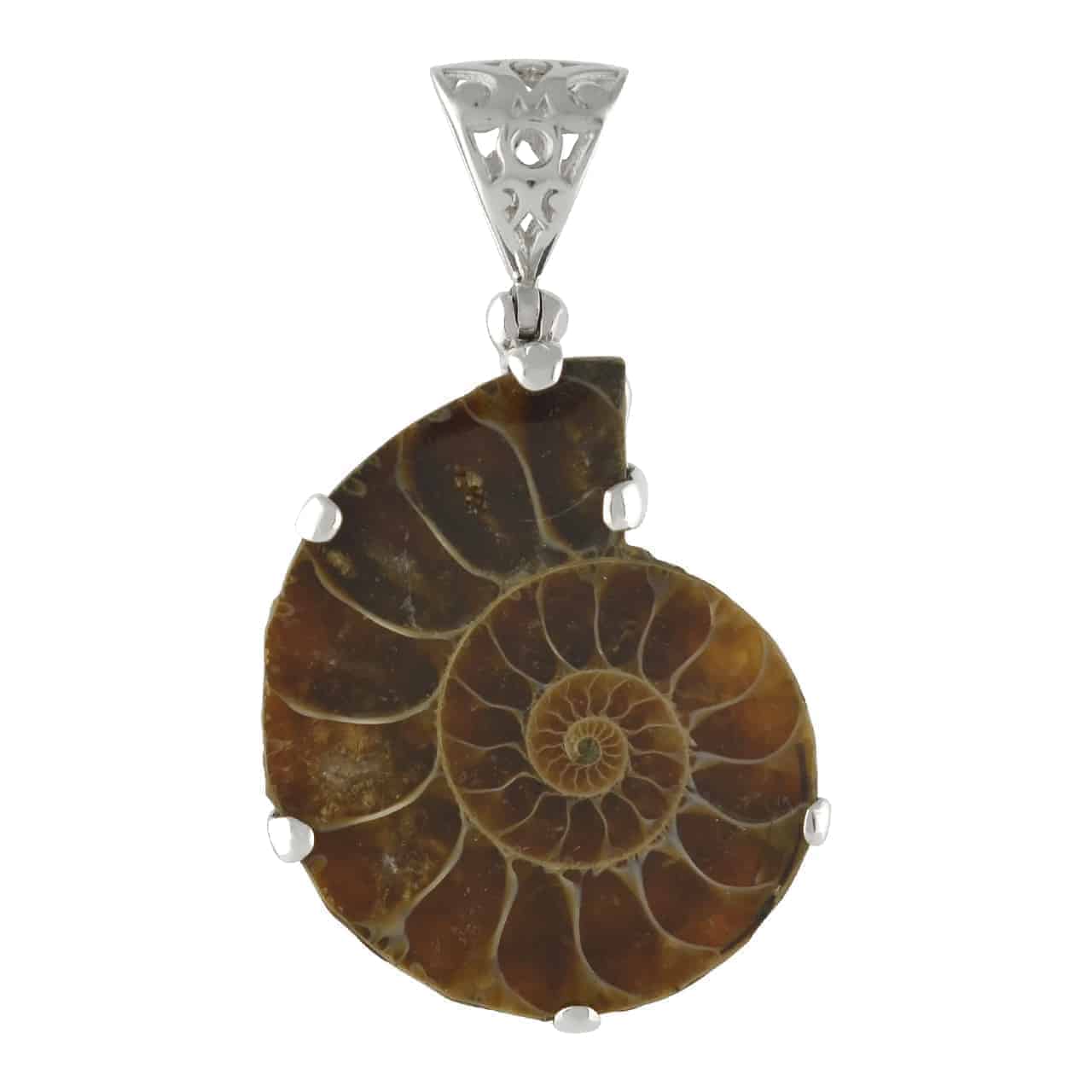 Starborn Fossil Ammonite Prong Set Pendant with Filigree Bale in Sterling Silver