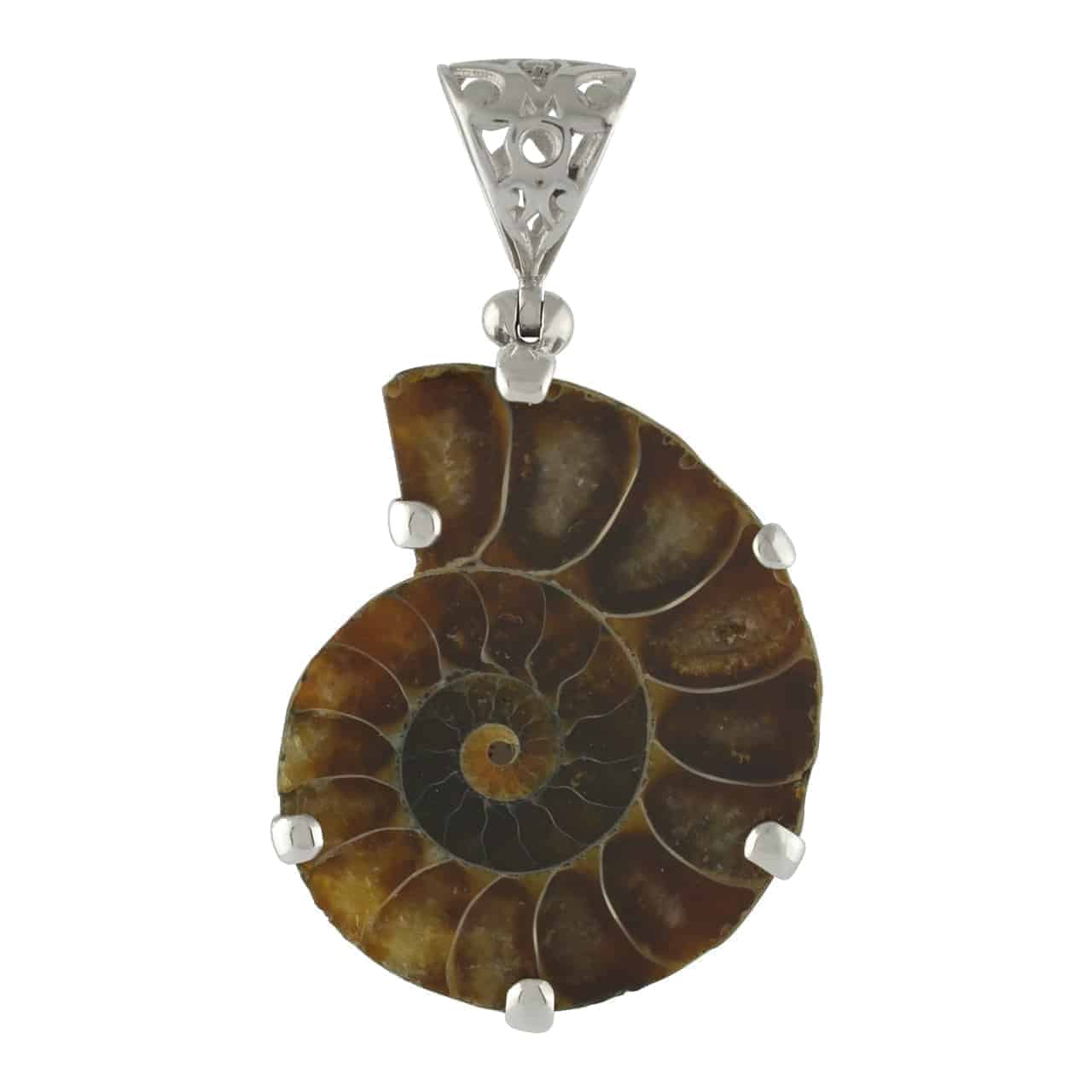 Starborn Fossil Ammonite Prong Set Pendant with Filigree Bale in Sterling Silver