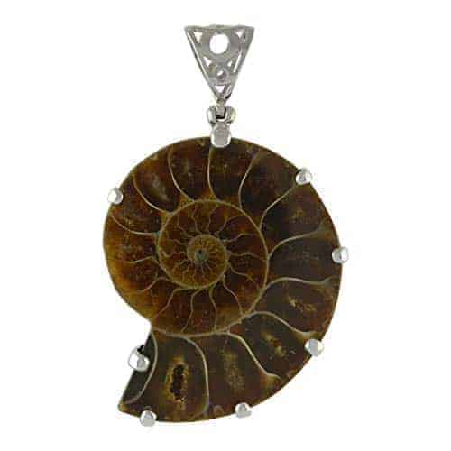 Starborn Fossilized Ammonite Upside Down Pendant with Filigree Backing in Sterling Silver