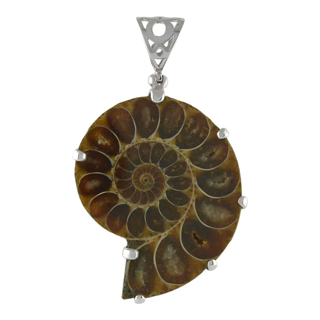 Starborn Fossilized Ammonite Upside Down Pendant with Filigree Backing in Sterling Silver