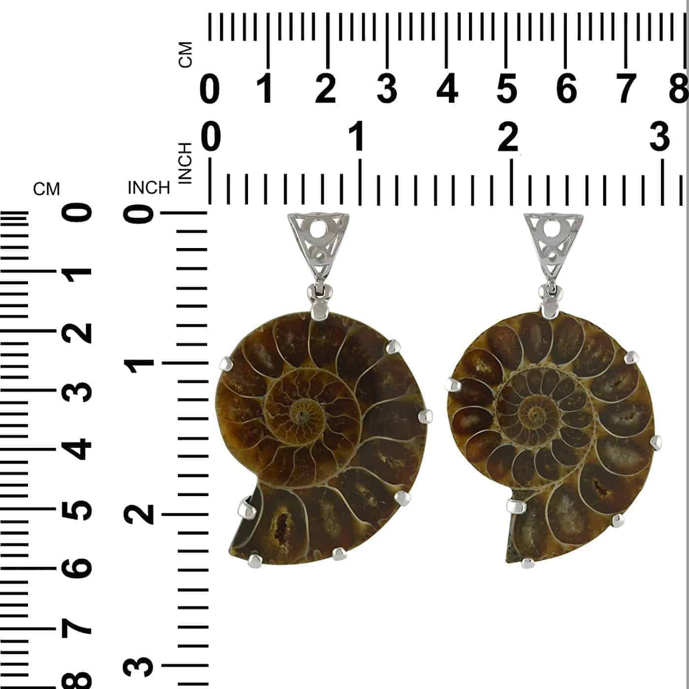 Starborn Fossilized Ammonite Upside Down Pendant with Filigree Backing in Sterling Silver