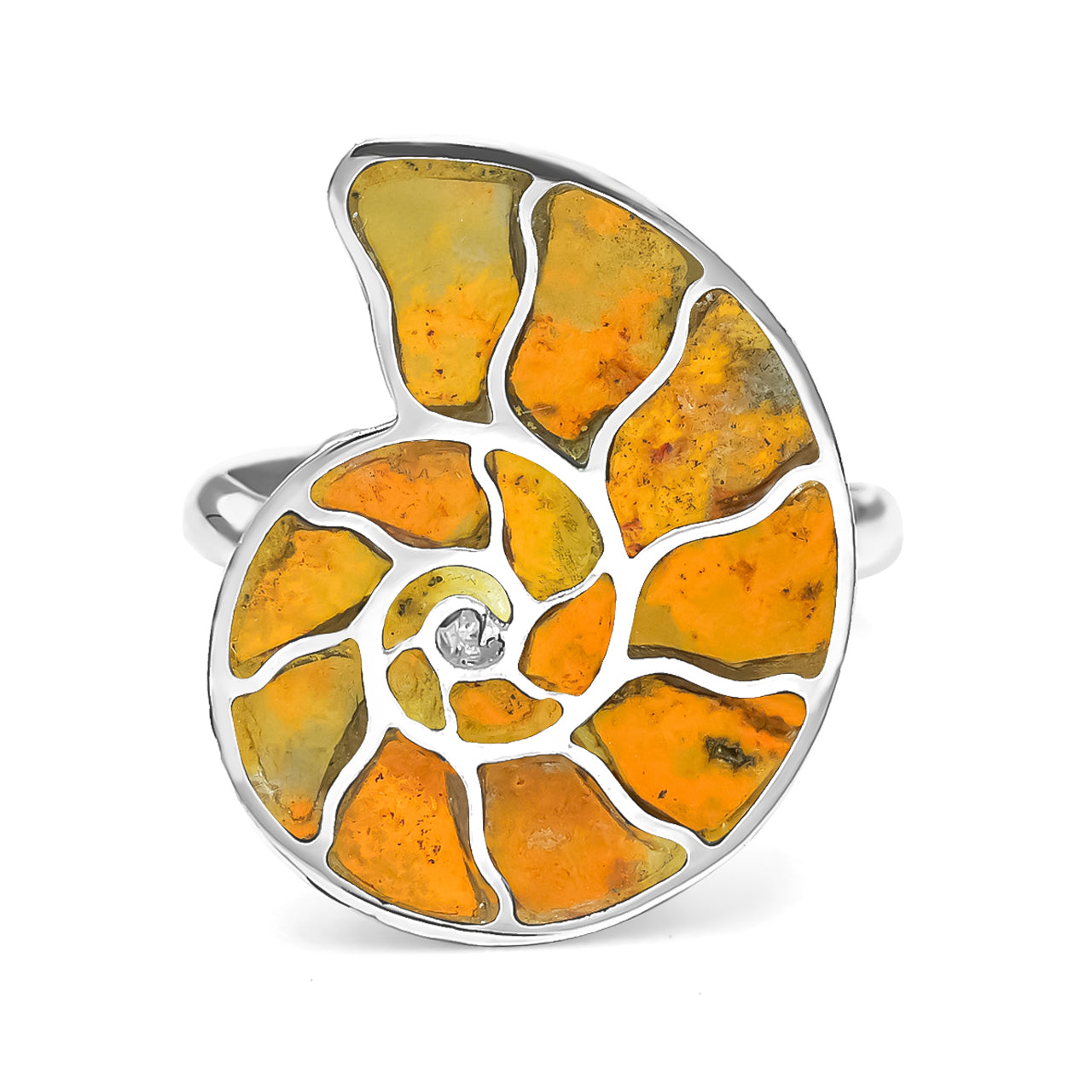 Starborn Bumblebee Jasper Inlay Ammonite Ring in Sterling Silver