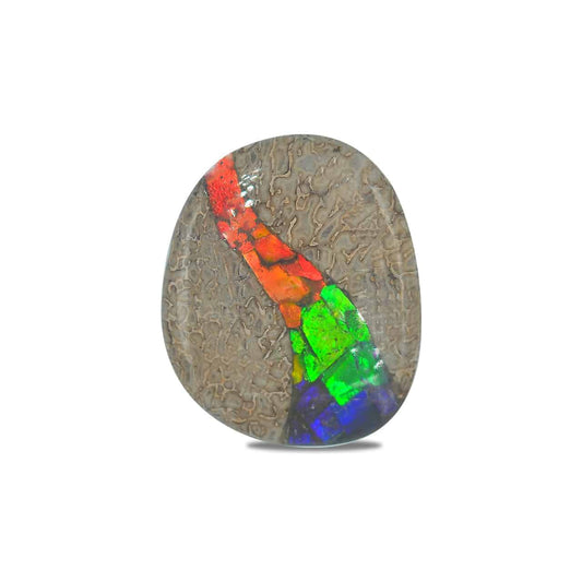 Starborn Fossil Dinosaur Bone with Ammolite Inlay Large Cabochon 30mm - 1 piece
