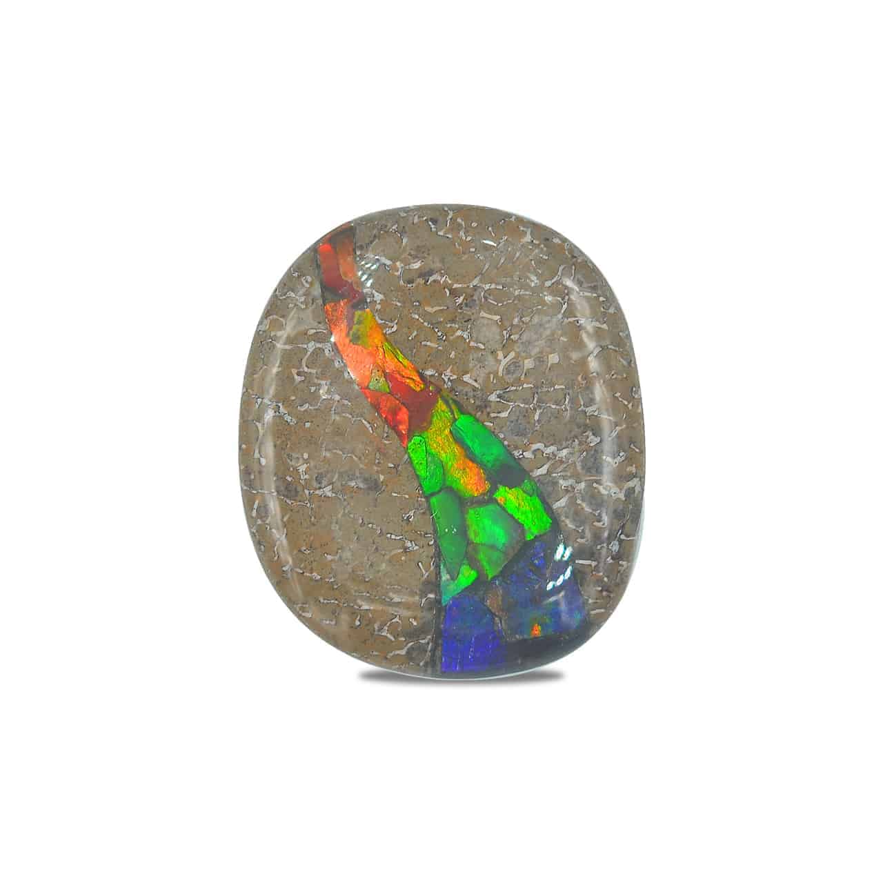 Starborn Fossil Dinosaur Bone with Ammolite Inlay Large Cabochon 30mm - 1 piece