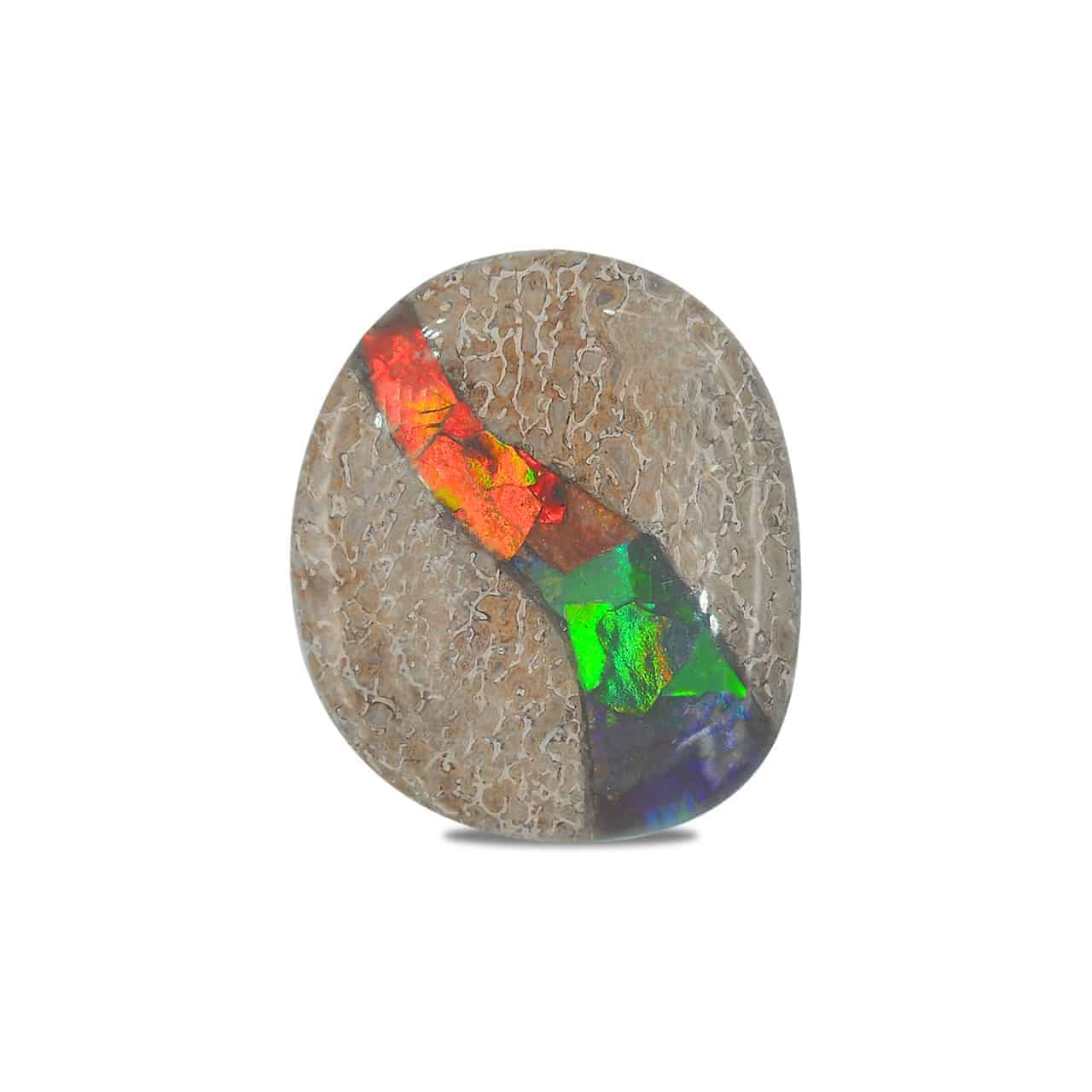 Starborn Fossil Dinosaur Bone with Ammolite Inlay Large Cabochon 30mm - 1 piece