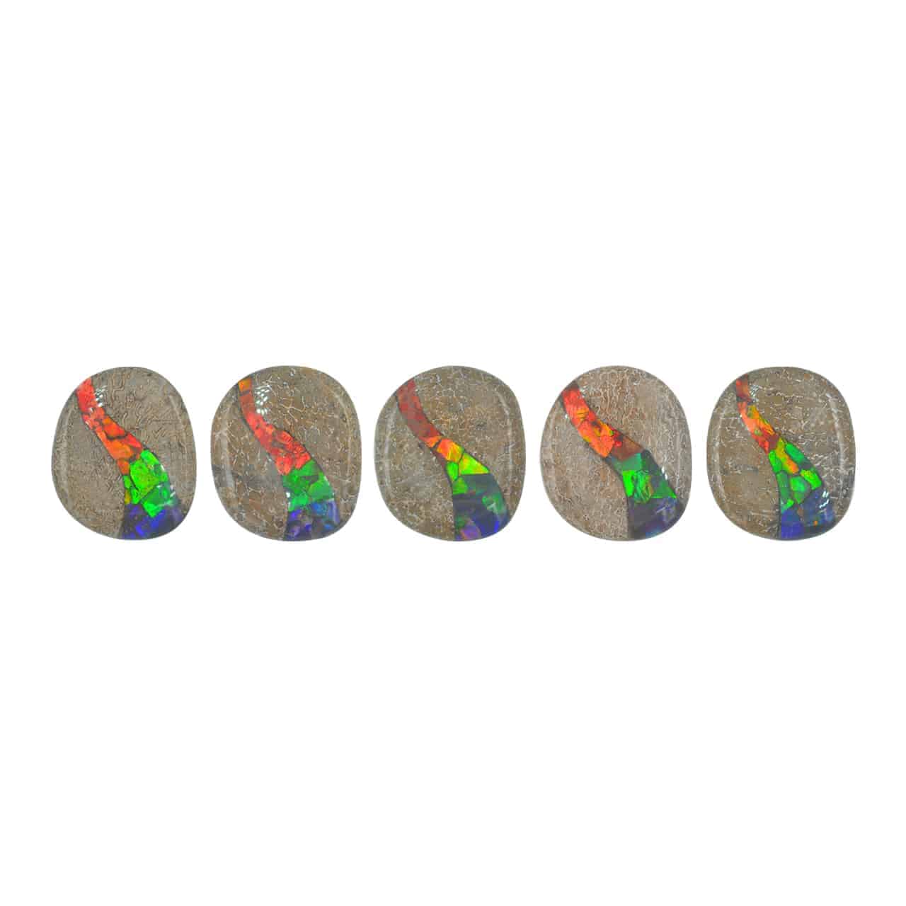 Starborn Fossil Dinosaur Bone with Ammolite Inlay Large Cabochon 30mm - 1 piece