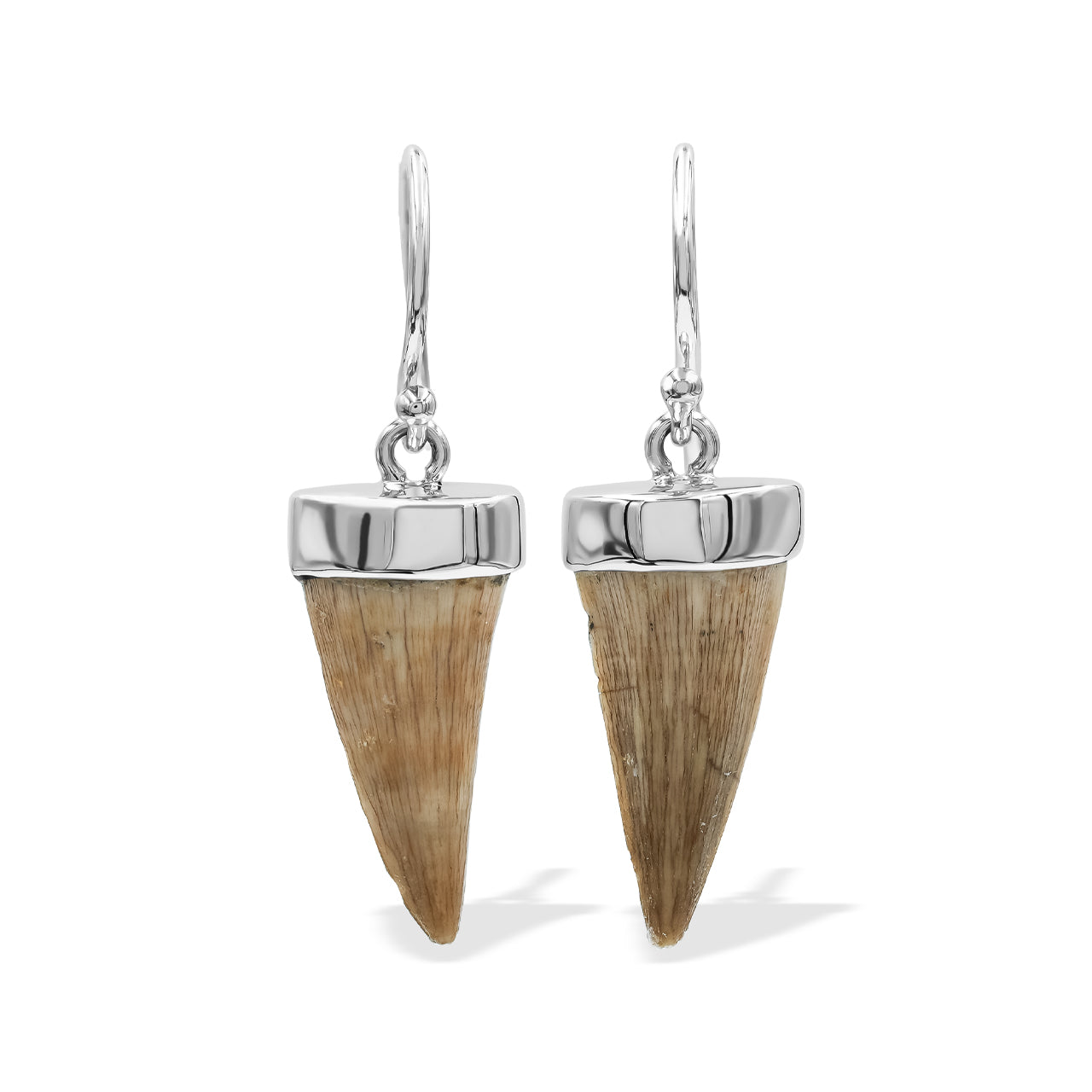 Starborn Fossil Mosasaurus Tooth Earrings in Sterling Silver