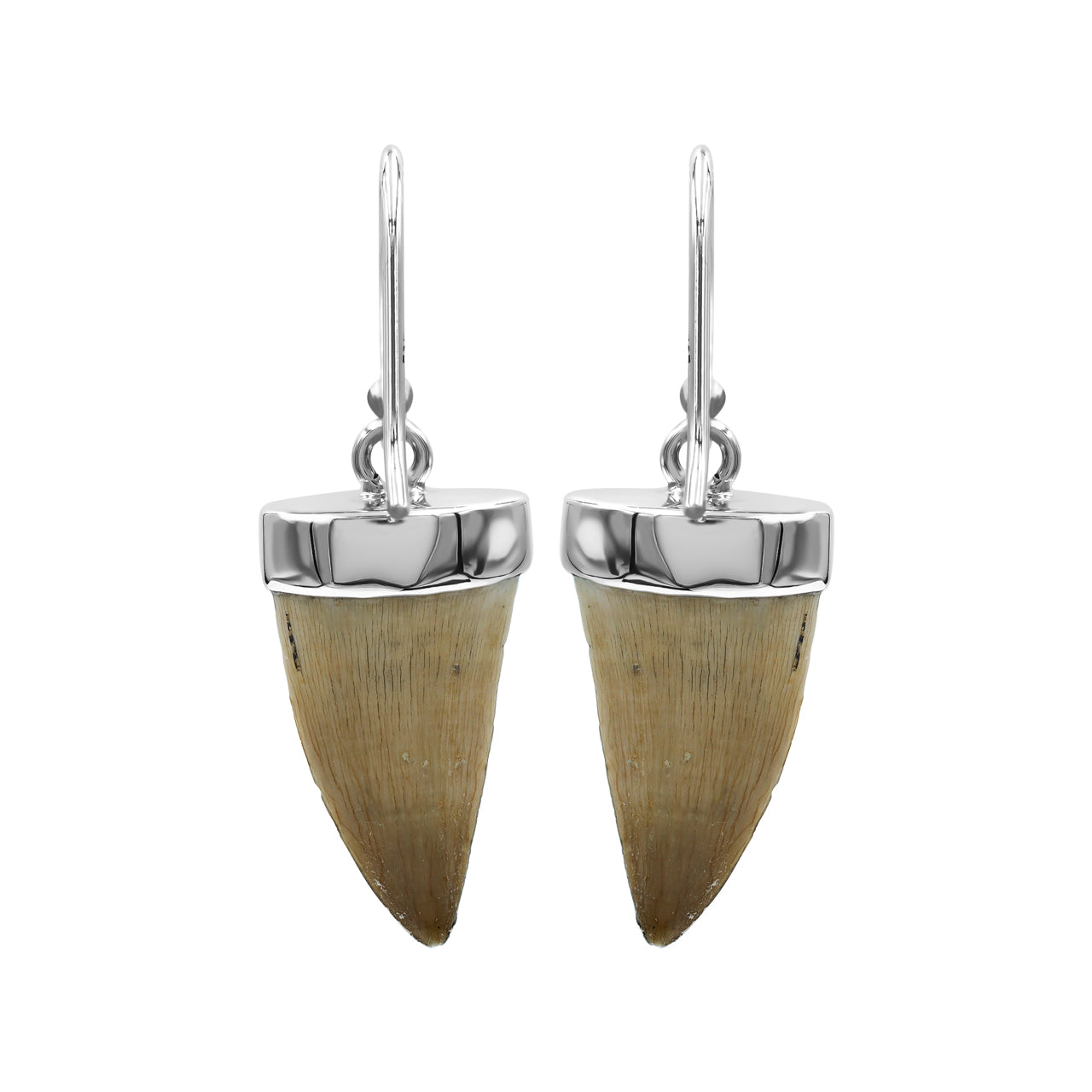 Starborn Fossil Mosasaurus Tooth Earrings in Sterling Silver