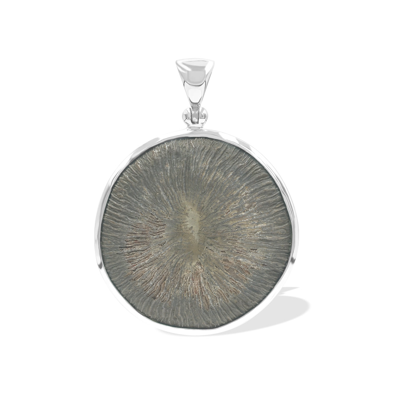 Starborn Cyclolite Fossil Coral Pendant in Sterling Silver