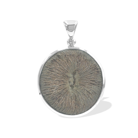 Starborn Cyclolite Fossil Coral Pendant in Sterling Silver