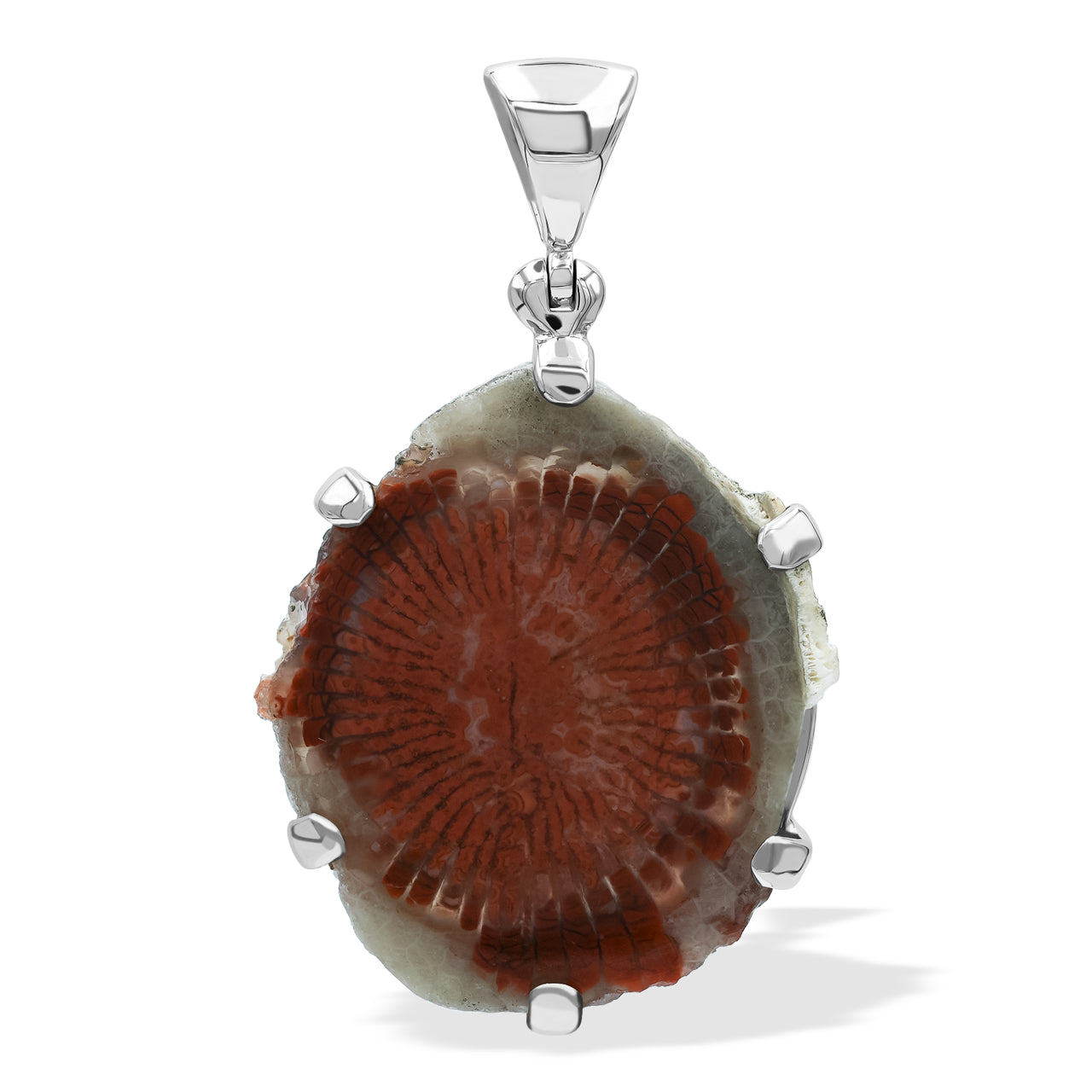 Starborn Utah Fossil Red Horn Coral Prong Setting Pendant in Sterling Silver