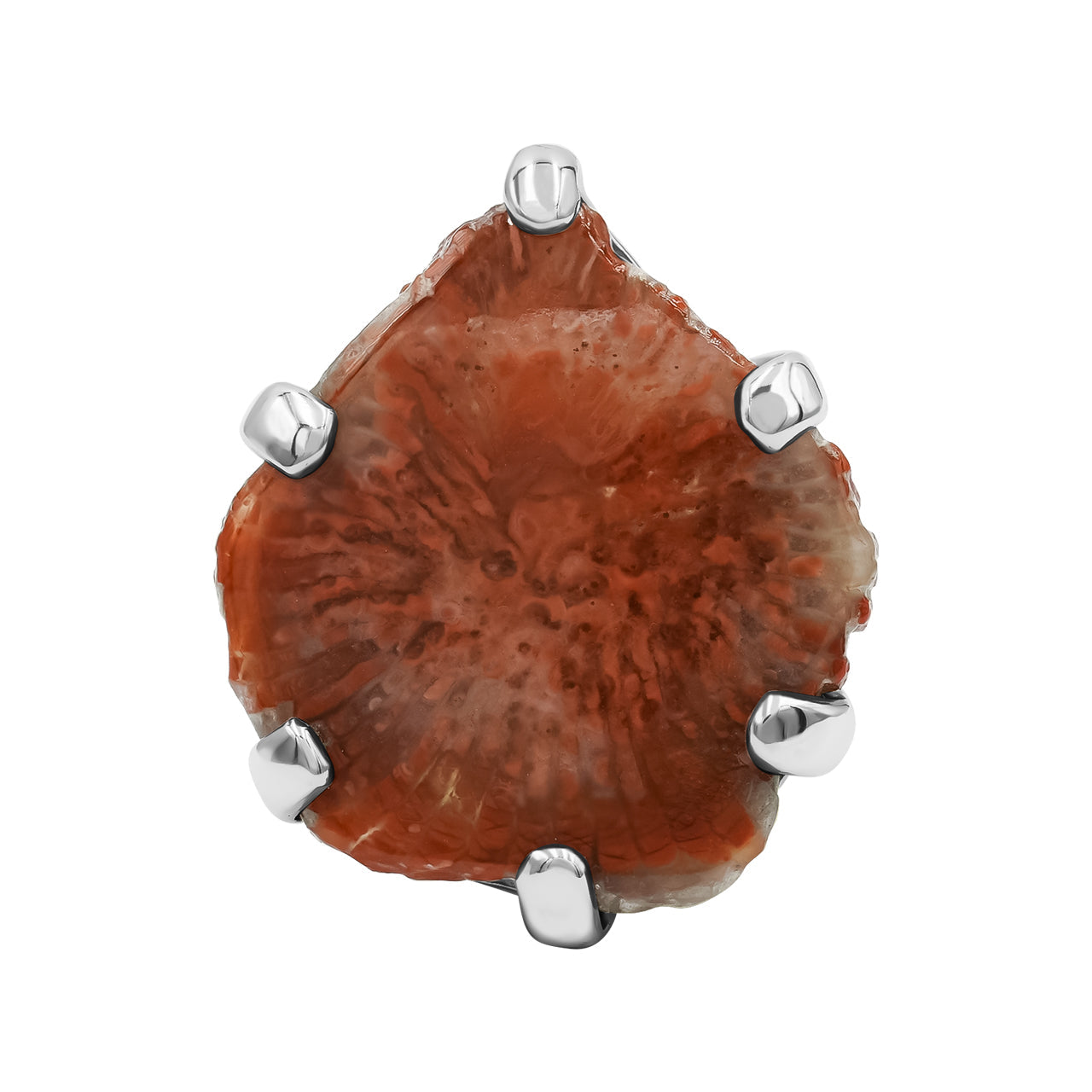 Starborn Utah Fossil Red Horn Coral Ring in Sterling Silver