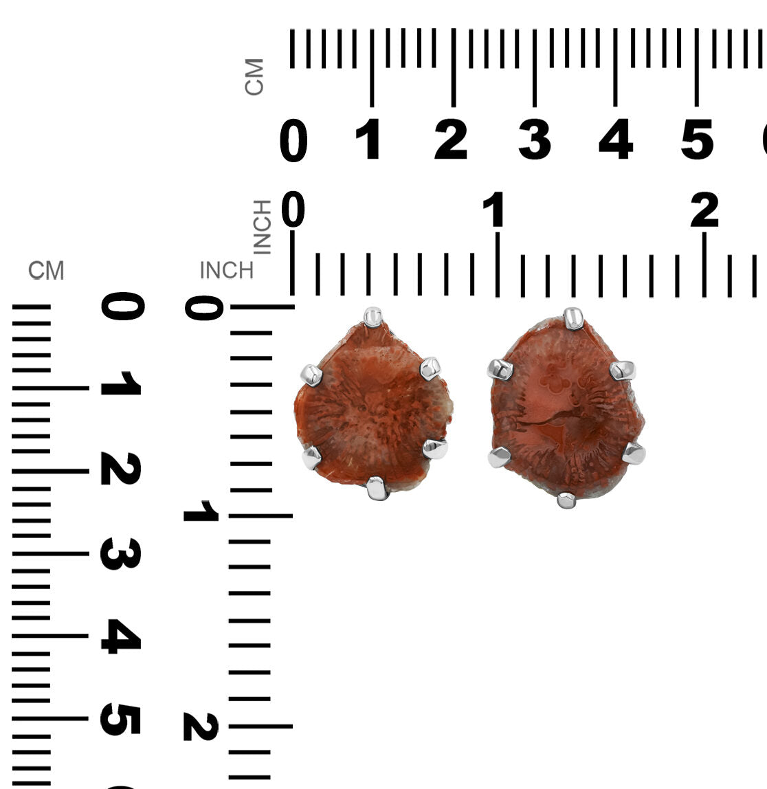 Starborn Utah Fossil Red Horn Coral Ring in Sterling Silver