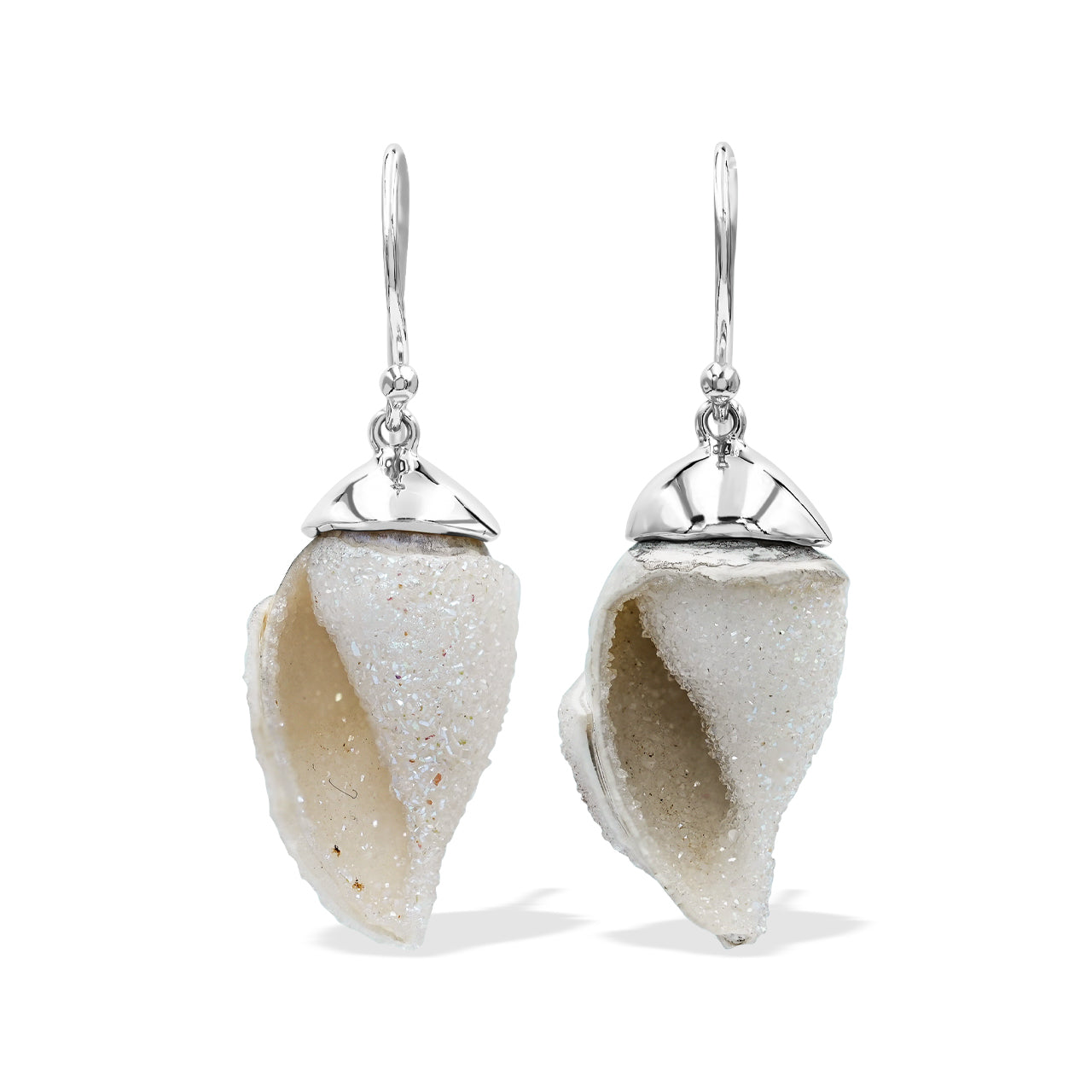 Starborn Fossilized Drusy Shell Cap Setting Style Earring in Sterling Silver