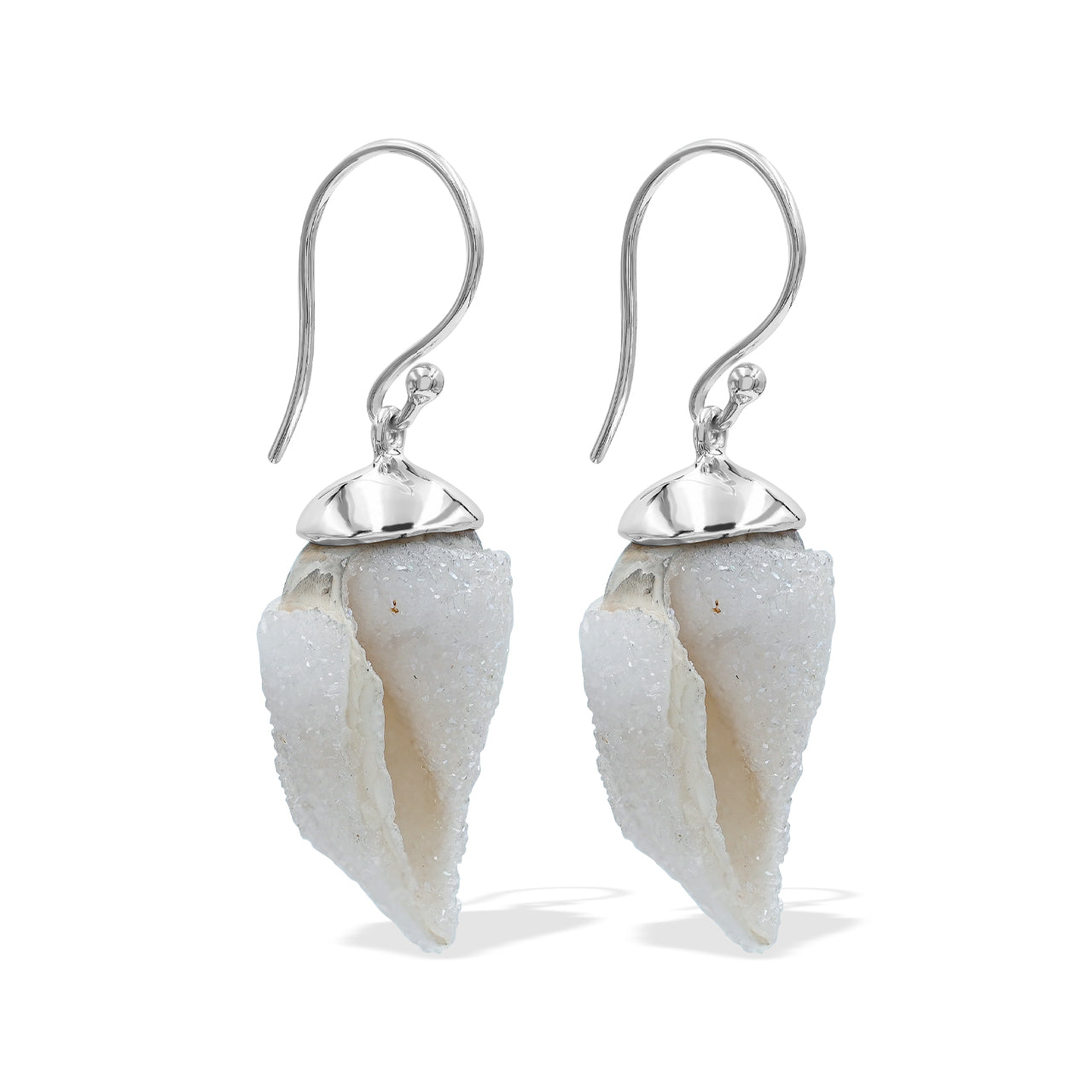 Starborn Fossilized Drusy Shell Cap Setting Style Earring in Sterling Silver