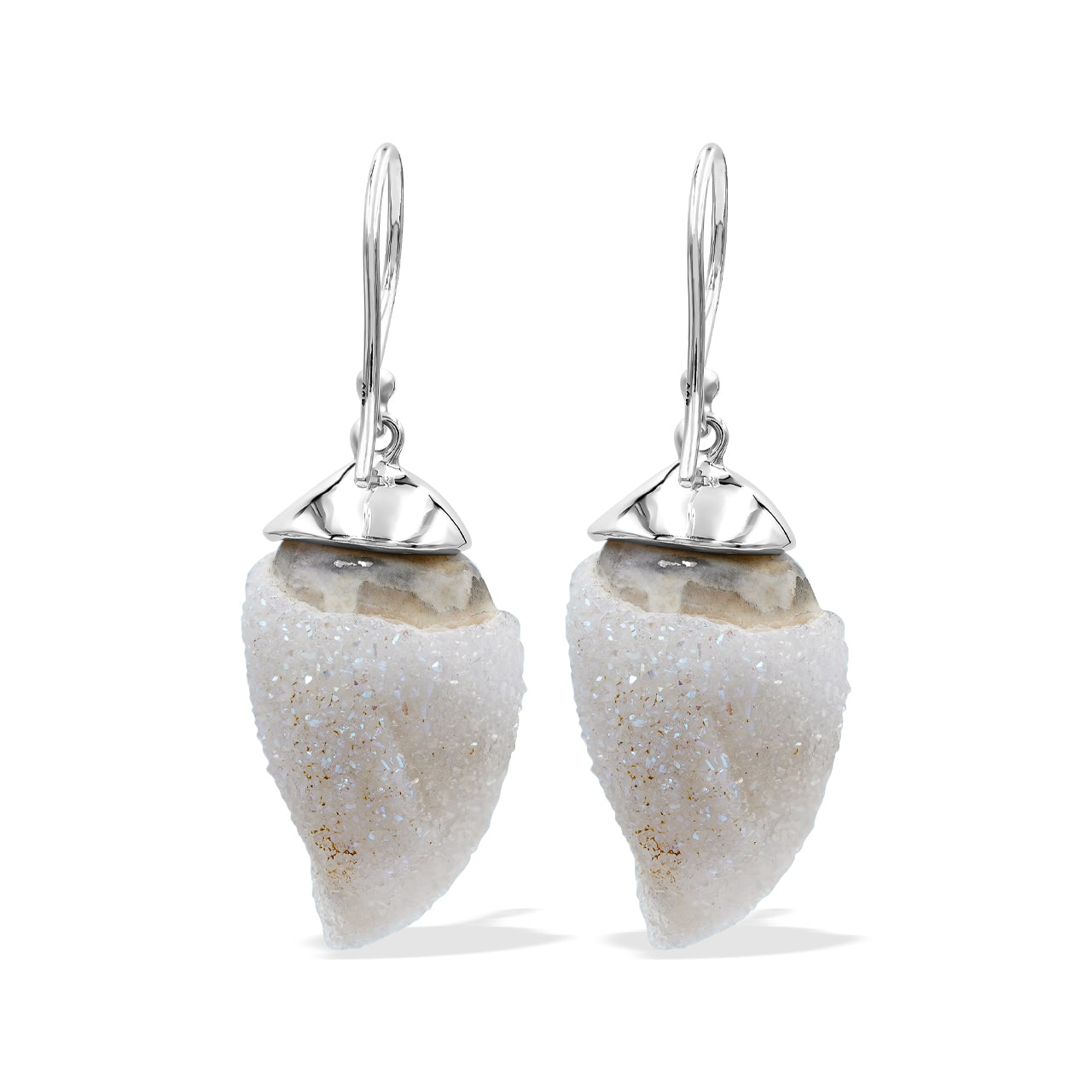 Starborn Fossilized Drusy Shell Cap Setting Style Earring in Sterling Silver