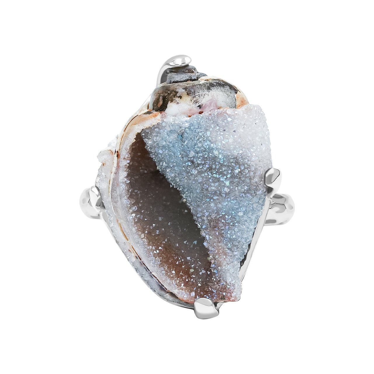 Starborn Drusy Fossilized Shell Prong Set Ring in Sterling Silver