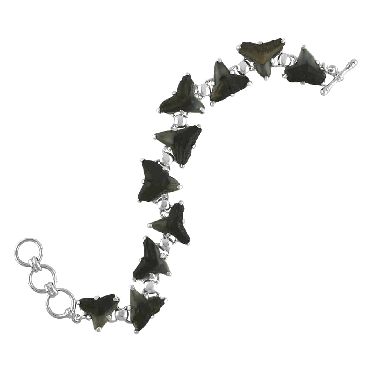 Starborn Fossil Shark Tooth Bracelet in Sterling Silver