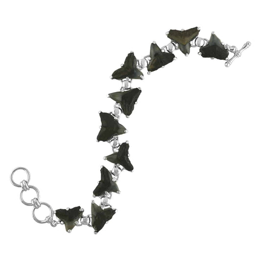 Starborn Fossil Shark Tooth Bracelet in Sterling Silver