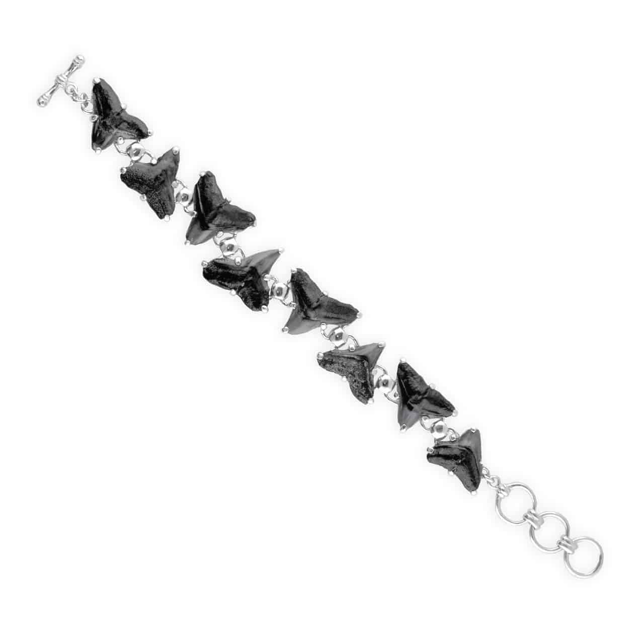 Starborn Fossil Shark Tooth Bracelet in Sterling Silver