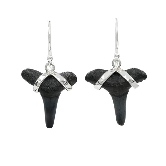 Starborn Dark Fossil Shark Tooth Sterling Silver Earrings