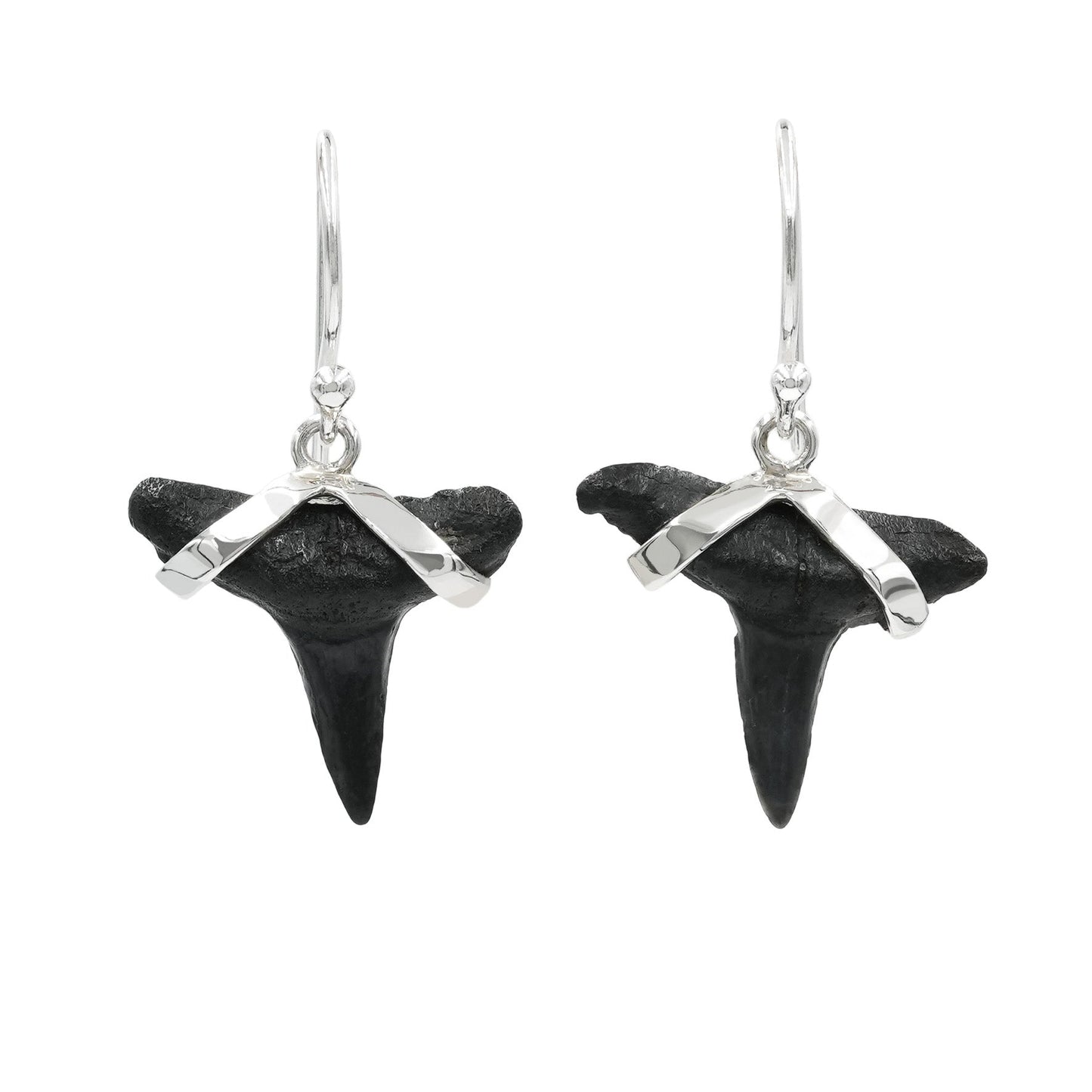 Starborn Dark Fossil Shark Tooth Sterling Silver Earrings