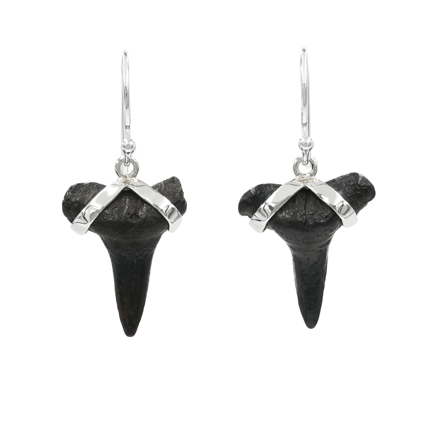 Starborn Dark Fossil Shark Tooth Sterling Silver Earrings