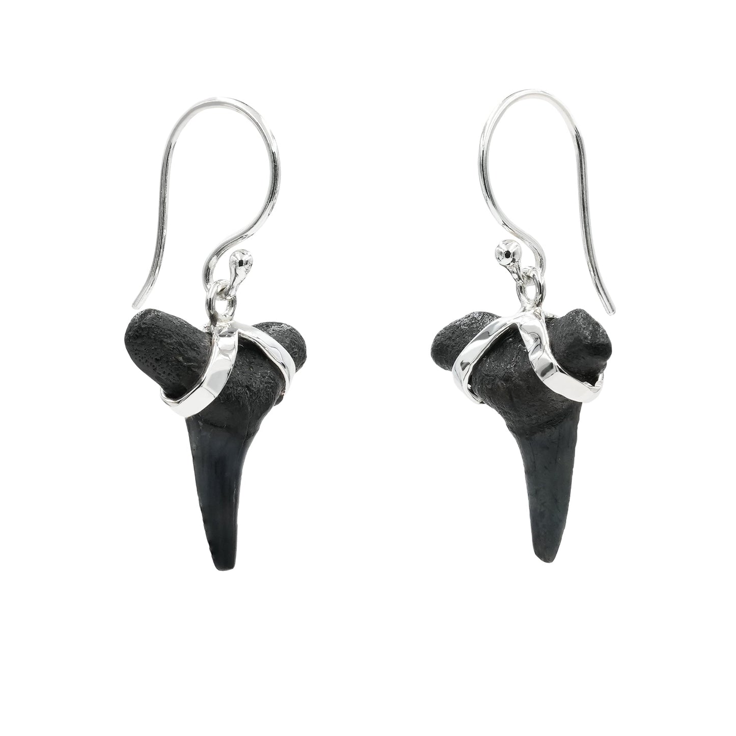 Starborn Dark Fossil Shark Tooth Sterling Silver Earrings