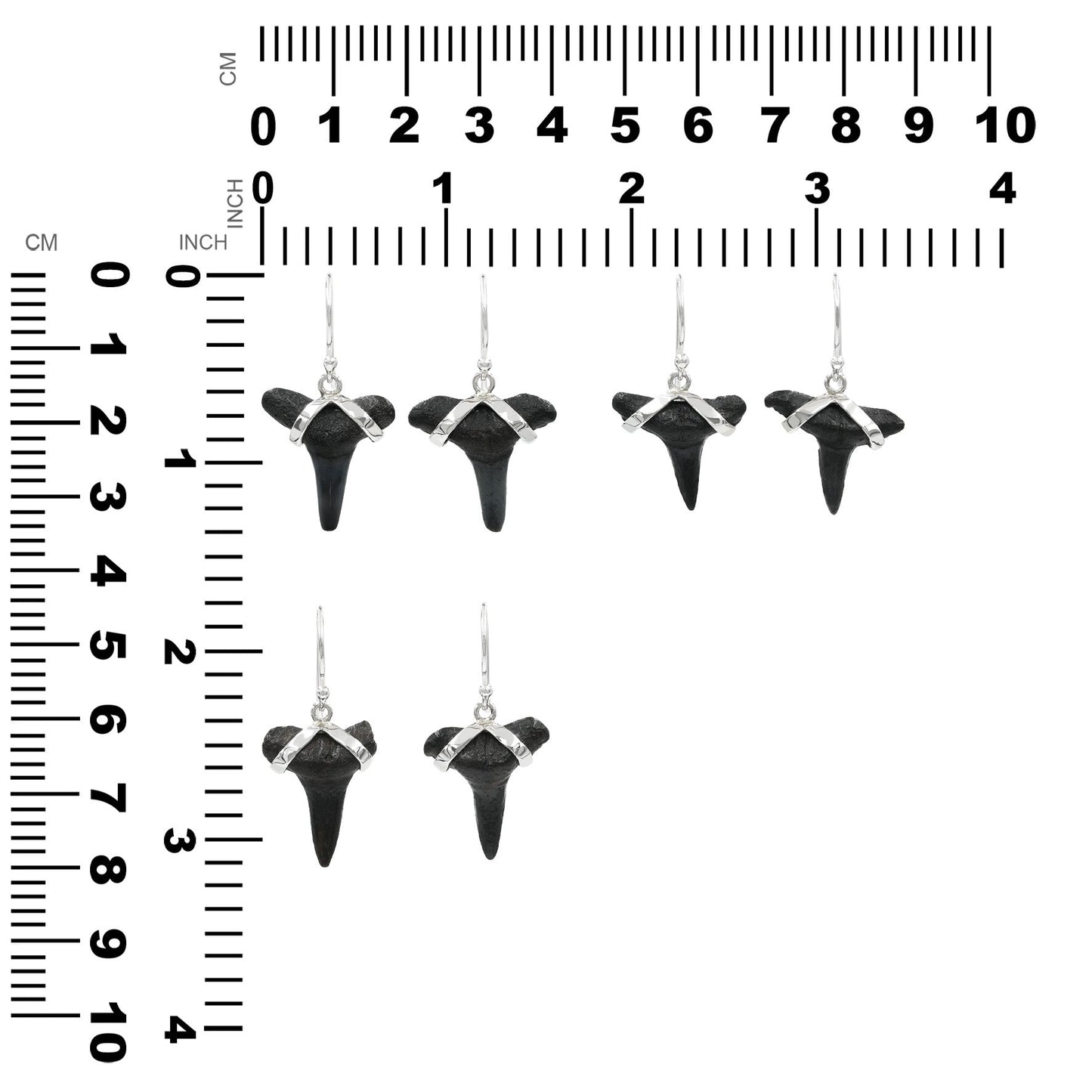 Starborn Dark Fossil Shark Tooth Sterling Silver Earrings