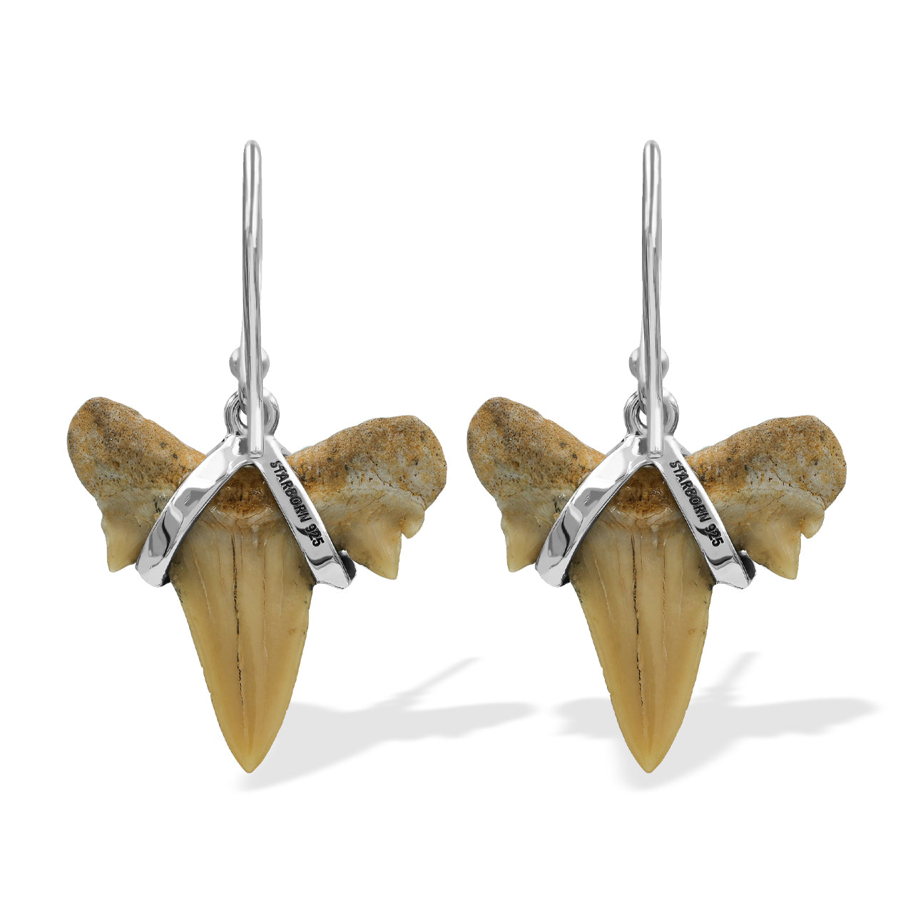 Starborn Light Fossil Shark Tooth Wire Wrap Dangle Earrings in Sterling Silver