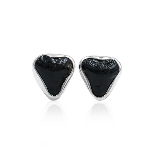 Starborn Black Fossil Shark Tooth Post Style Earrings in Sterling Silver