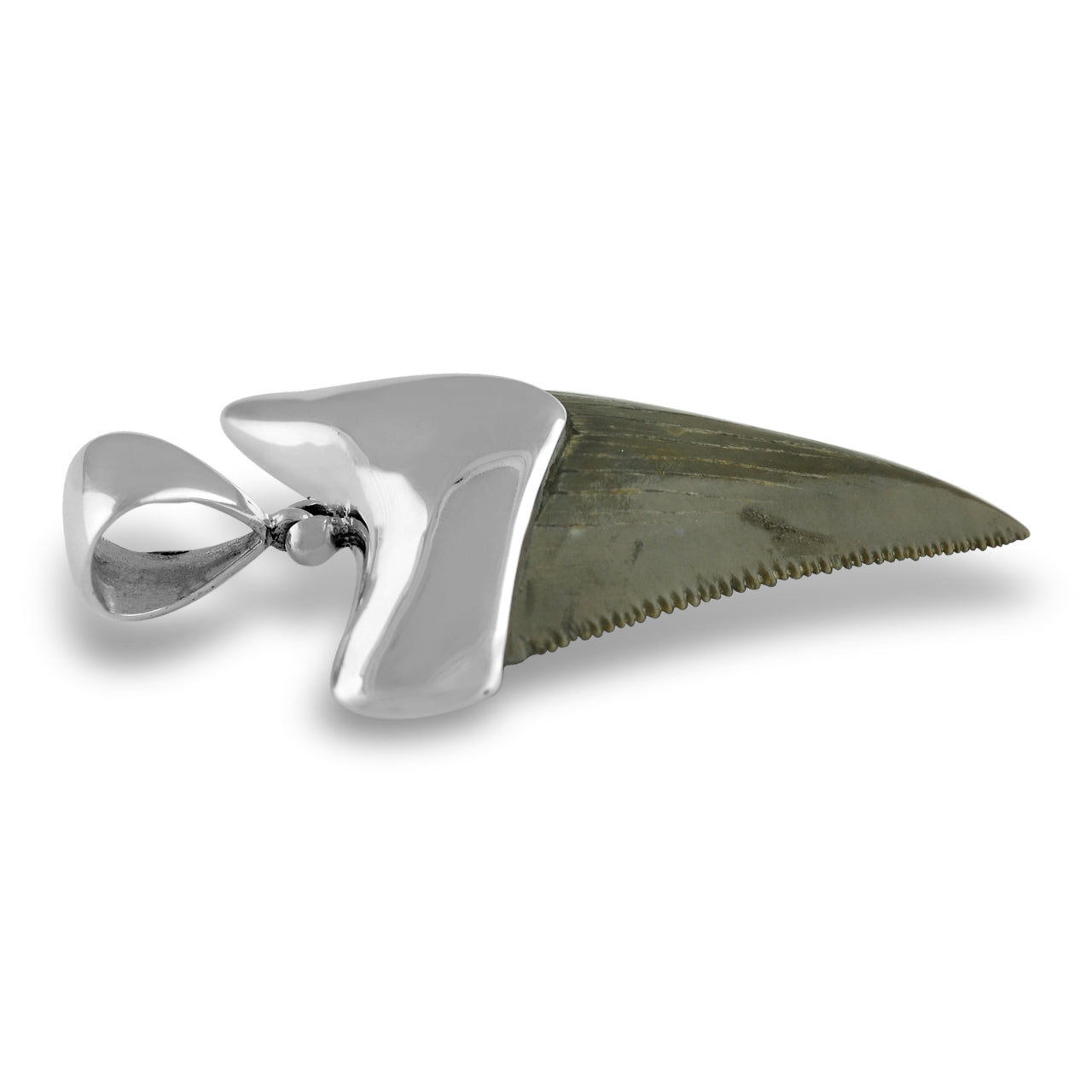 Starborn Dark Fossil Shark Tooth Cap Set Pendant in Fine Sterling Silver