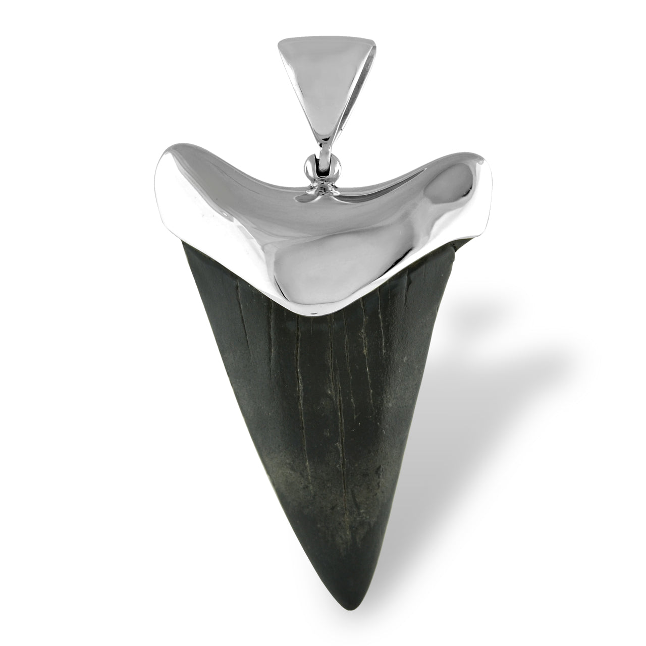 Starborn Dark Fossil Shark Tooth Cap Set Pendant in Fine Sterling Silver