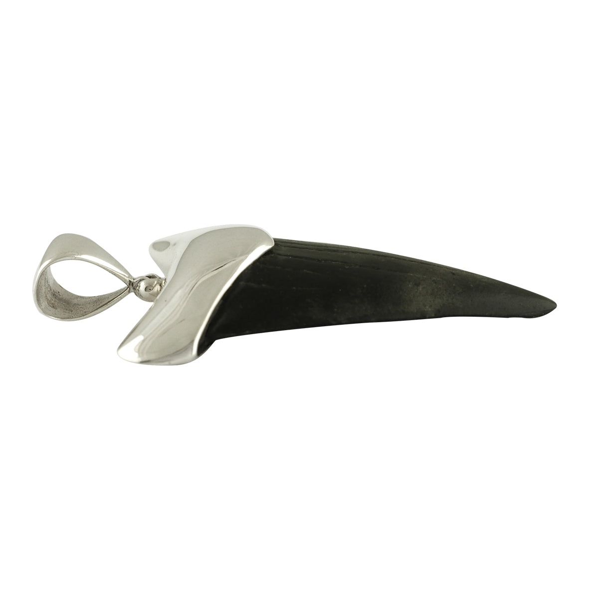 Starborn Dark Fossil Shark Tooth Cap Set Pendant in Fine Sterling Silver