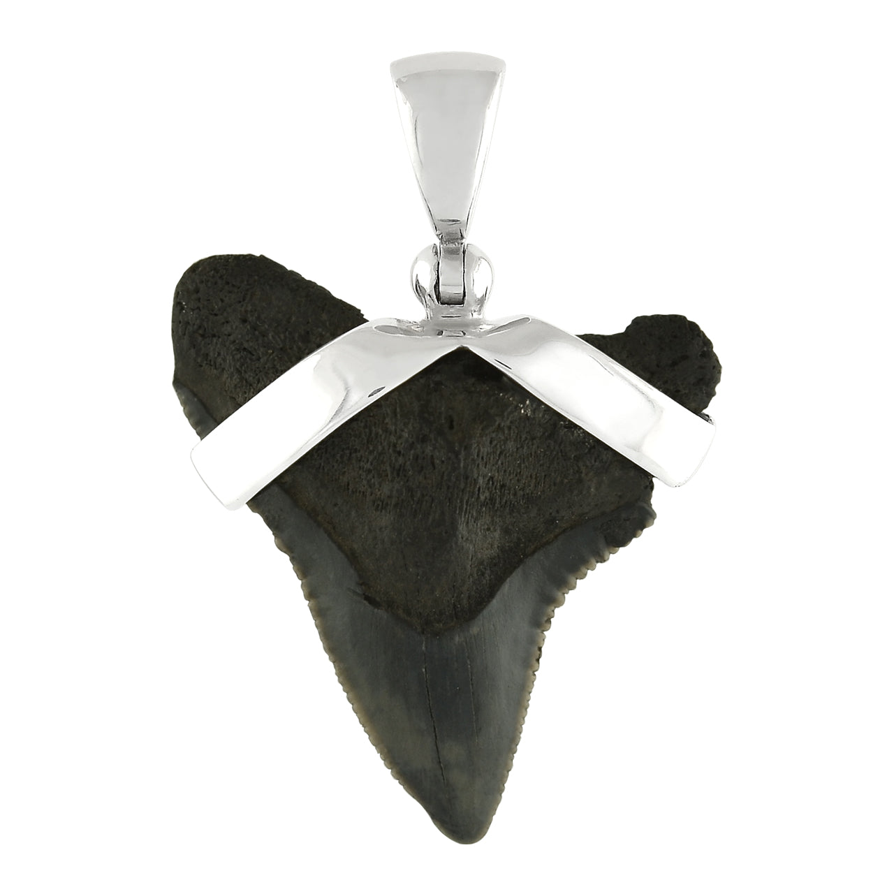 Starborn Dark Fossil Shark Tooth Pendant in Sterling Silver