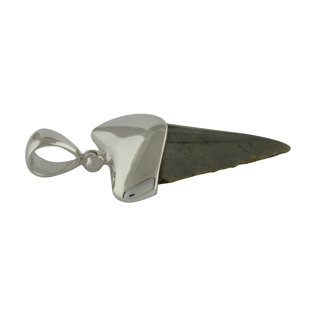 Starborn Dark Fossil Shark Tooth Cap Set Pendant in Fine Sterling Silver