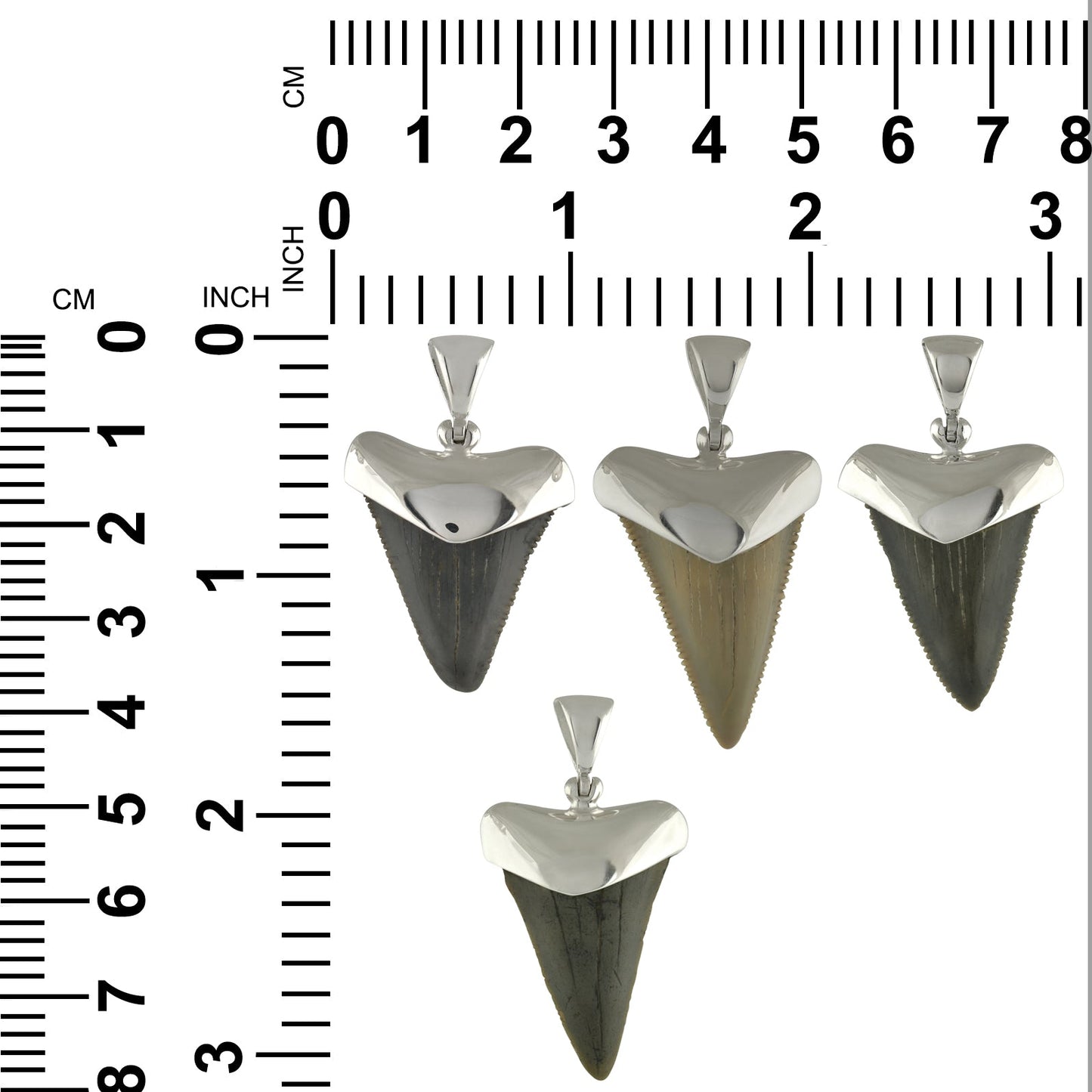 Starborn Dark Fossil Shark Tooth Cap Set Pendant in Fine Sterling Silver