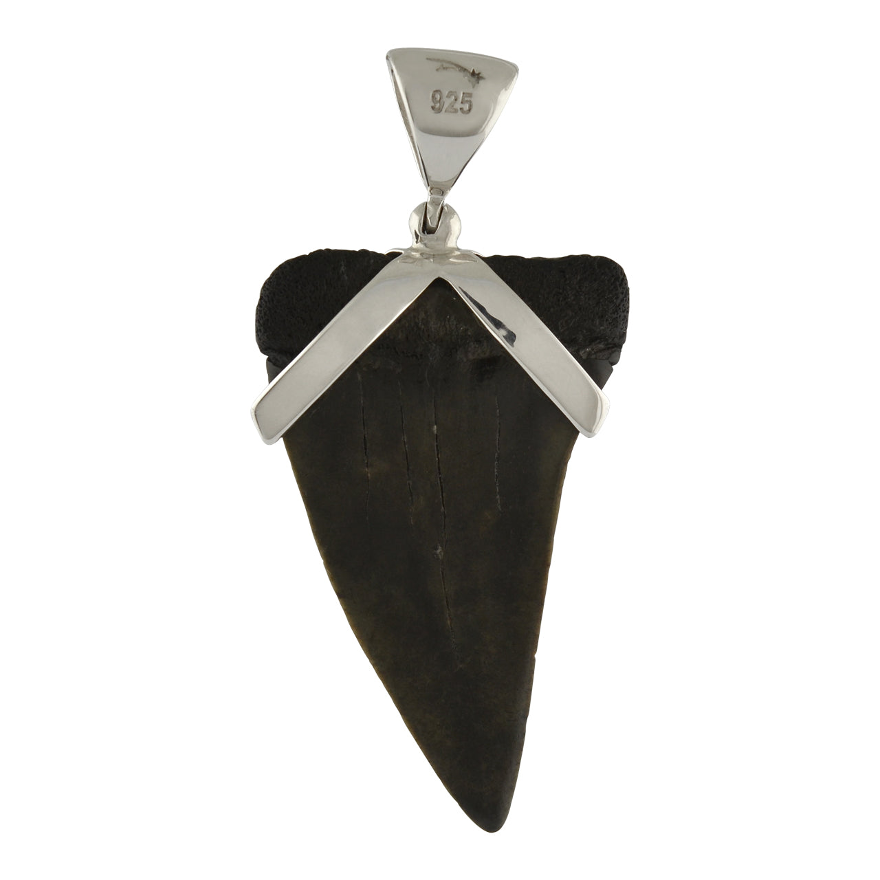 Starborn Dark Fossil Shark Tooth Pendant in Sterling Silver