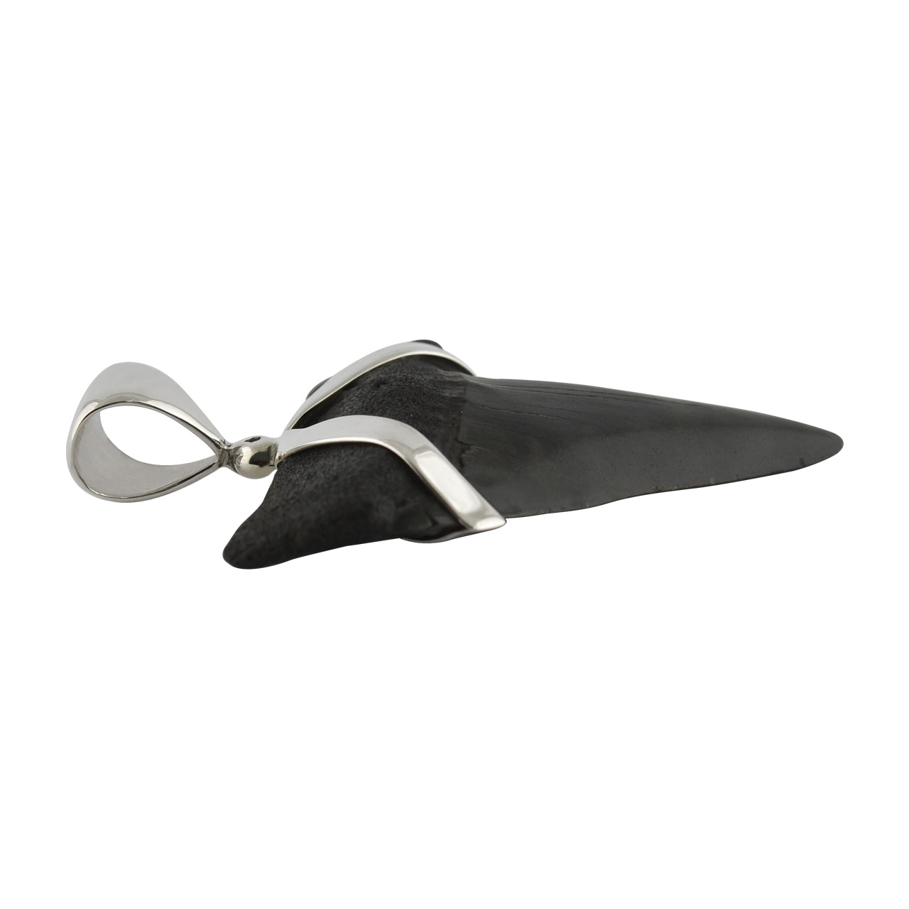 Starborn Dark Fossil Shark Tooth Pendant in Sterling Silver