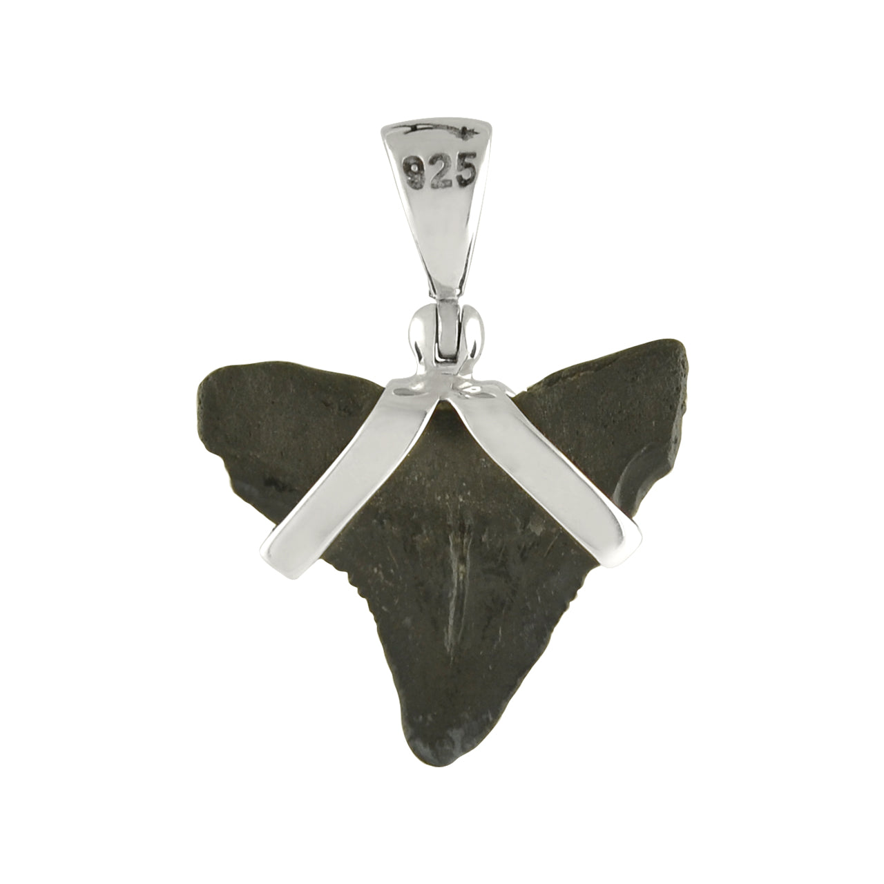 Starborn Dark Fossil Shark Tooth Pendant in Sterling Silver