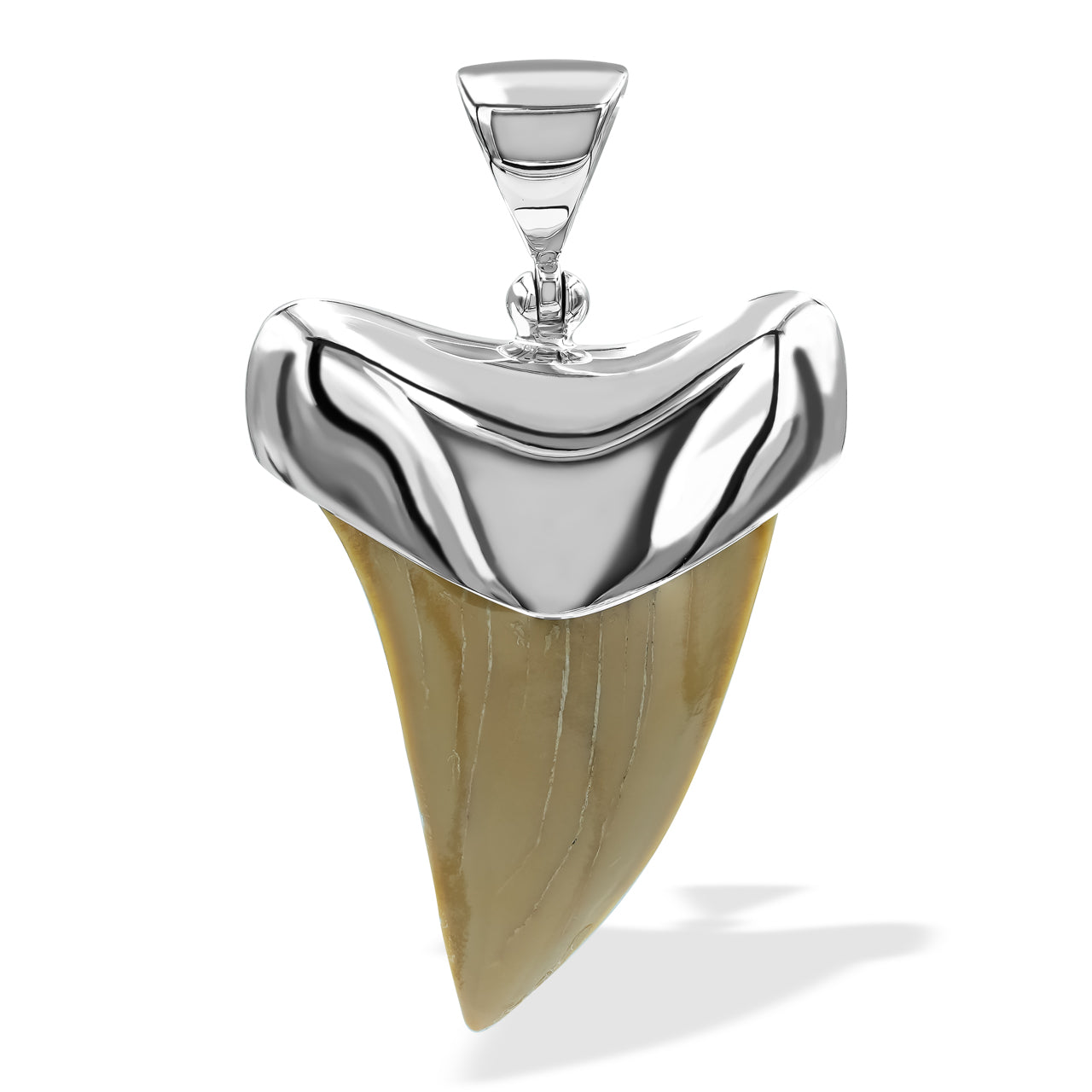 Starborn Light Fossil Shark Tooth Cap Set Pendant in Sterling Silver