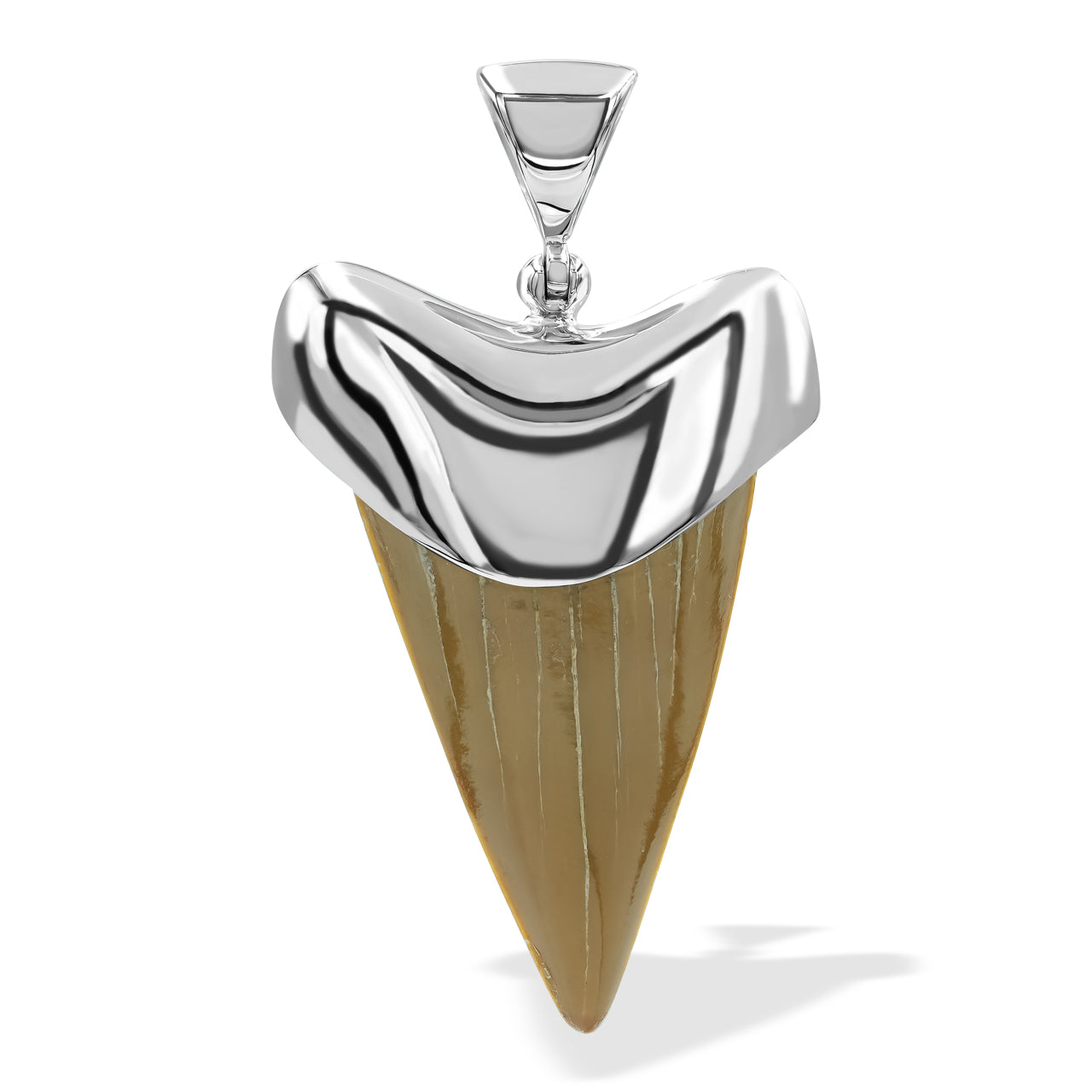Starborn Light Fossil Shark Tooth Cap Set Pendant in Sterling Silver