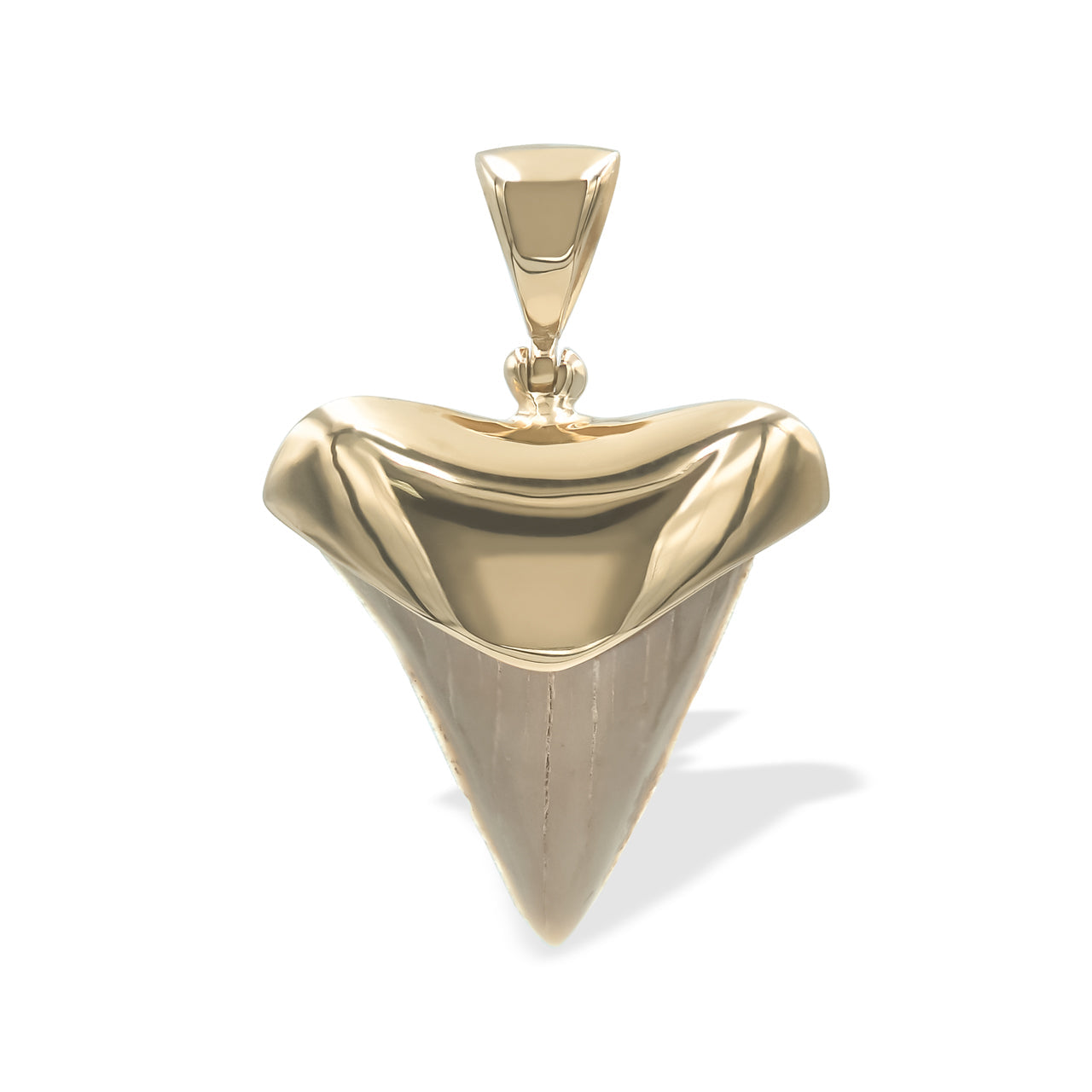 Starborn Light Fossil Shark Tooth Cap Set Pendant in 18k Gold Plated Brass