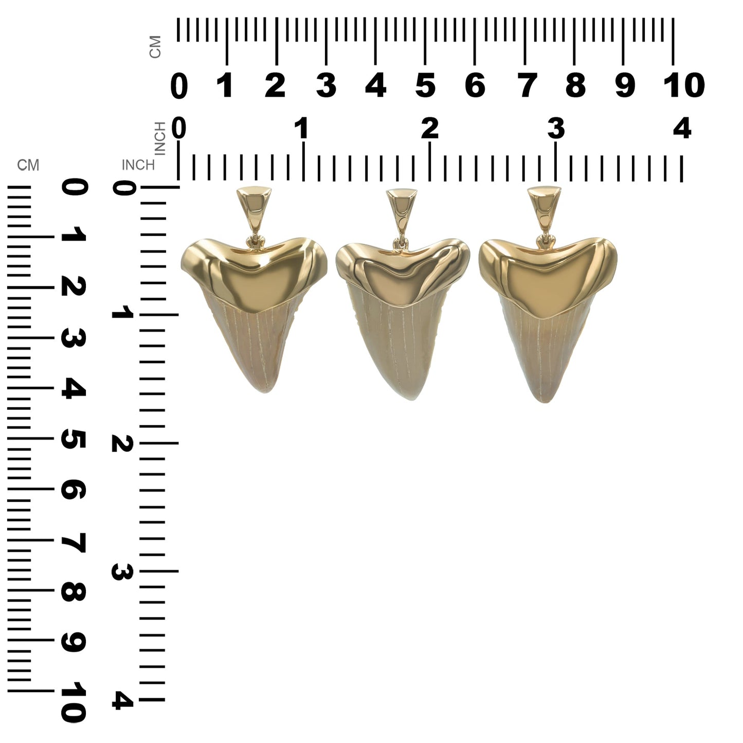 Starborn Light Fossil Shark Tooth Cap Set Pendant in 18k Gold Plated Brass