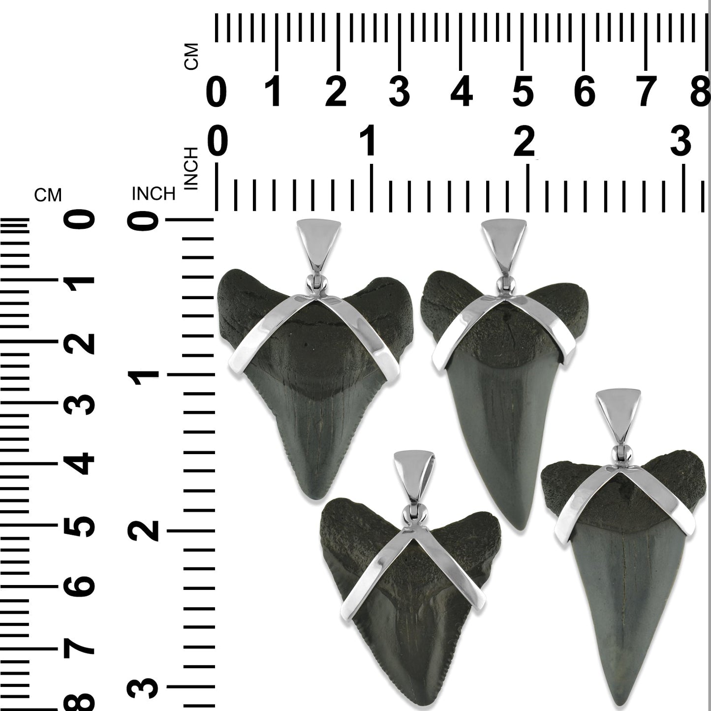 Starborn Dark Fossil Shark Tooth Pendant in Sterling Silver